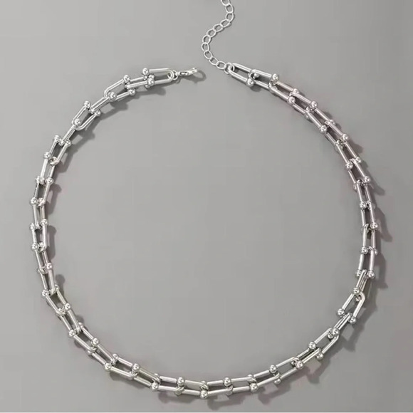 Graduated Link STAINLESS STEEL Waterproof Necklace - Picture 1 of 14